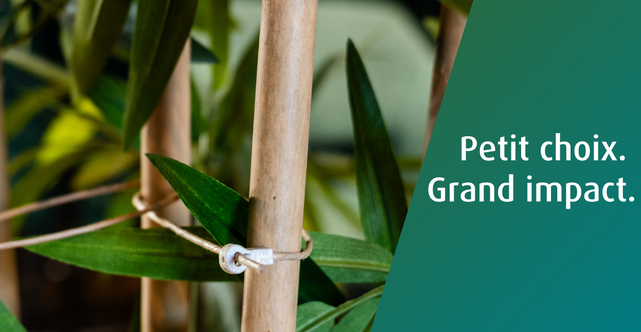 WKK choisit FibreStrap : une solution durable